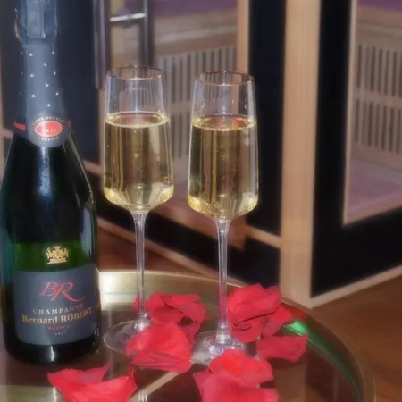 Le Venus - Privatif Balneo Sauna * Dijon