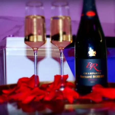 Le Venus - Privatif Balneo Sauna Apartman Dijon