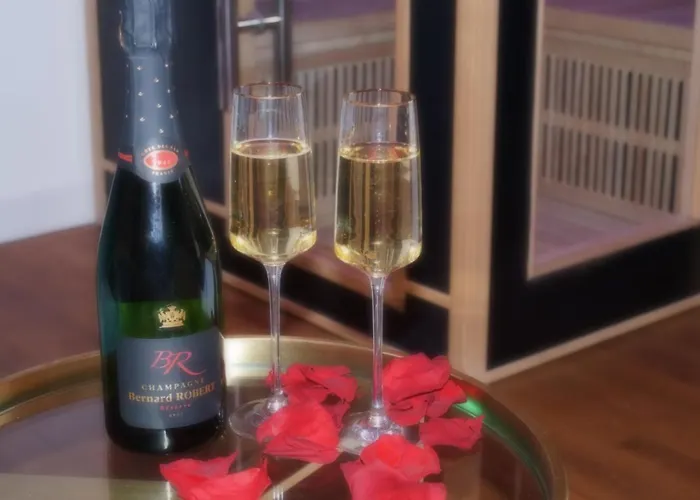 Le Venus - Privatif Balneo Sauna * ディジョン